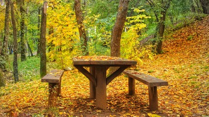 Naklejka premium Wodden bench in to the forest