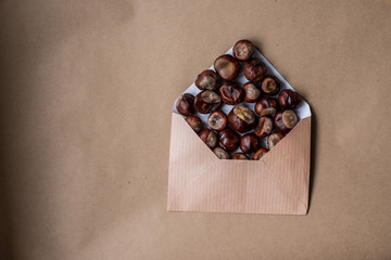 Autumn composition with a letter and chestnuts inside
