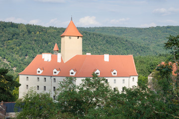Gothic castle in the woods