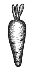 doodle carrot,  illustration icon