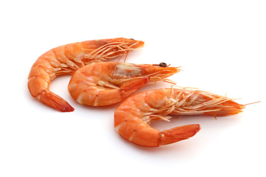 Gambas
