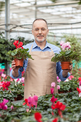 Cheerful senior shop assistant at garden center