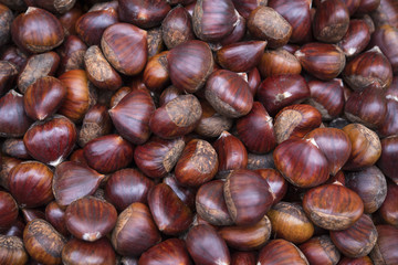 Many chestnuts