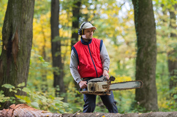Obraz premium cutting a branch with chainsaw