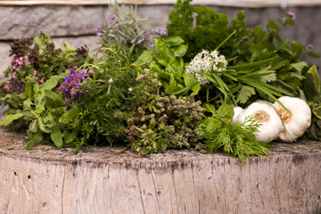 Frische Gartenkräuter