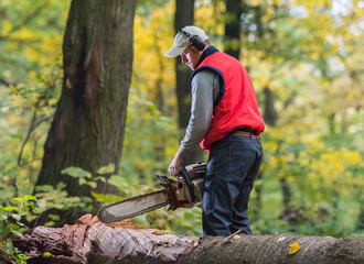 cutting a branch with chainsaw