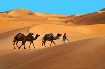  Caravan in woestijn © eAlisa