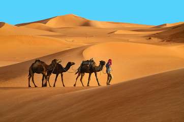 Caravan in desert