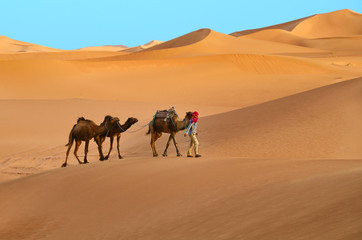 Fototapeta na wymiar Travelling in Sahara desert.