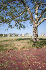 Officers' Row on Fort Hancock, NJ grounds