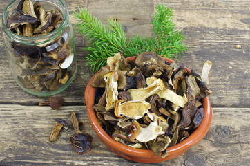 dry  boletus