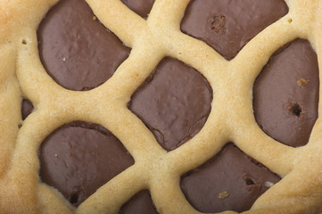 Two chocolate cookies on the white background