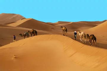 Foto auf Alu-Dibond Wohnwagen in der Wüste © eAlisa