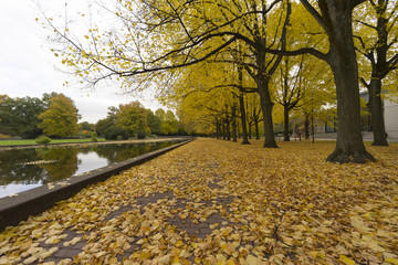 Autumn in Hannover city park
