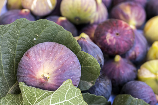 Incir Bilder – Durchsuchen 418 Archivfotos, Vektorgrafiken und Videos ...