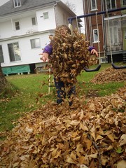 automne
