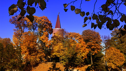 Jesienny krajobraz, Wieża Piastowska w Opolu © Stanisław Błachowicz