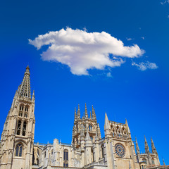 Fototapeta na wymiar Burgos Cathedral facade in Saint James Way