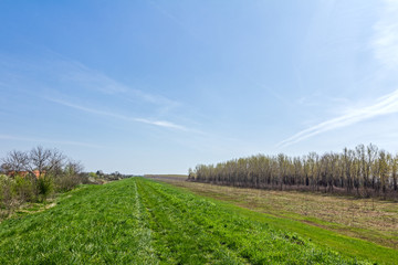 Overgrown green road is in a long perspective.