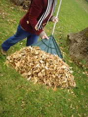  automne