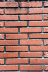 Fototapeta premium brick wall texture
