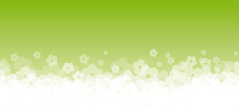 Banner fiori fondo verde