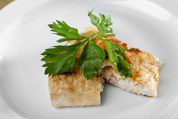 Dish of fish fillet with parsley on plate close up