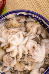 Raw baby octopus