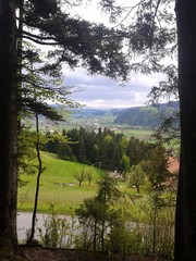 montagnes vertes en Suisse
