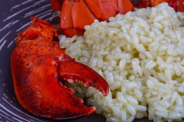 Risotto with lobster