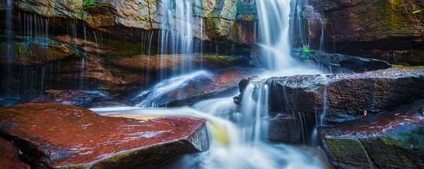 Fototapeten Tropical waterfall in jungle panorama © Dmitry Rukhlenko