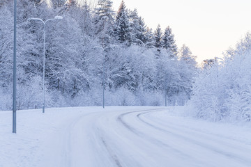 Winter evening forest with road covered with snow