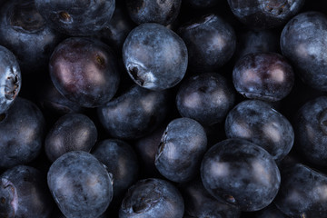 Blueberries on white background