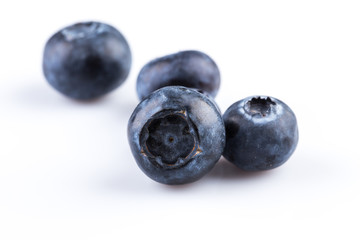 Blueberries on white background