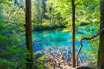 Fototapeta premium Plitvice Lakes National Park
