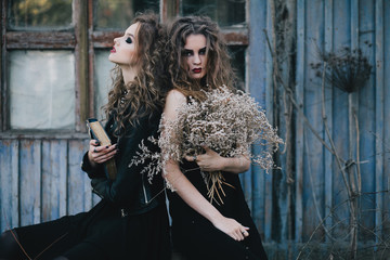 Two vintage witches gathered eve of Halloween