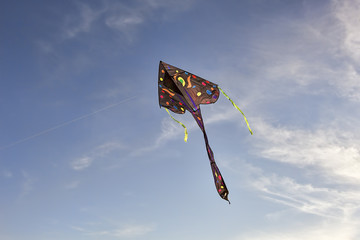 Kite flying in the sky.