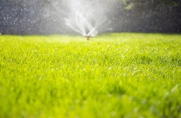 Watering the garden