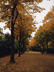 Fototapeta premium Promenade