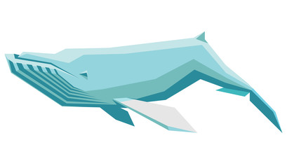 humpback_whale