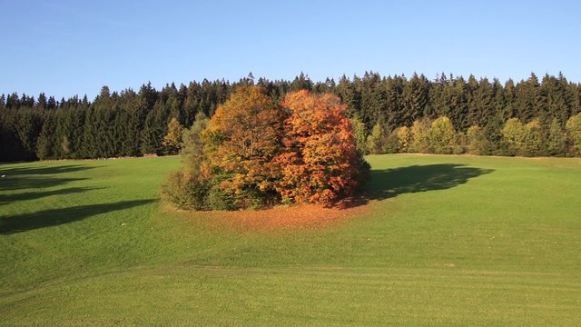 Herbst B&auml;ume