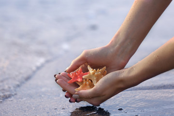 Fototapeta na wymiar Female hands holding sea stars and touching water