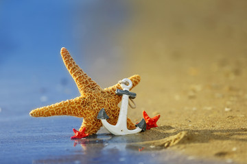 Obraz na płótnie Canvas Beautiful starfish and anchor on unfocused background