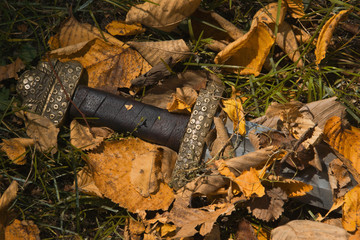 Viking sword against the backdrop of autumn leaves