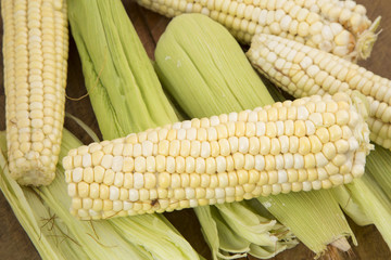 Mazorca con maíz tierno