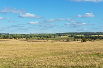 Fototapeta na wymiar Natural meadows under summertime cloudy sky in Poland