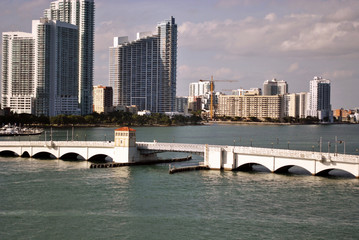 Miami Skyline
