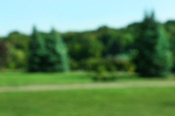 Blurred green city park alley