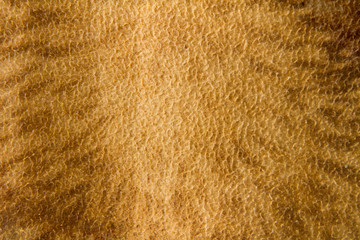 Brown textured cloth