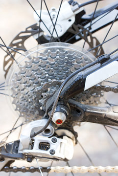 Rear mountain bike cassette on the wheel with chain.